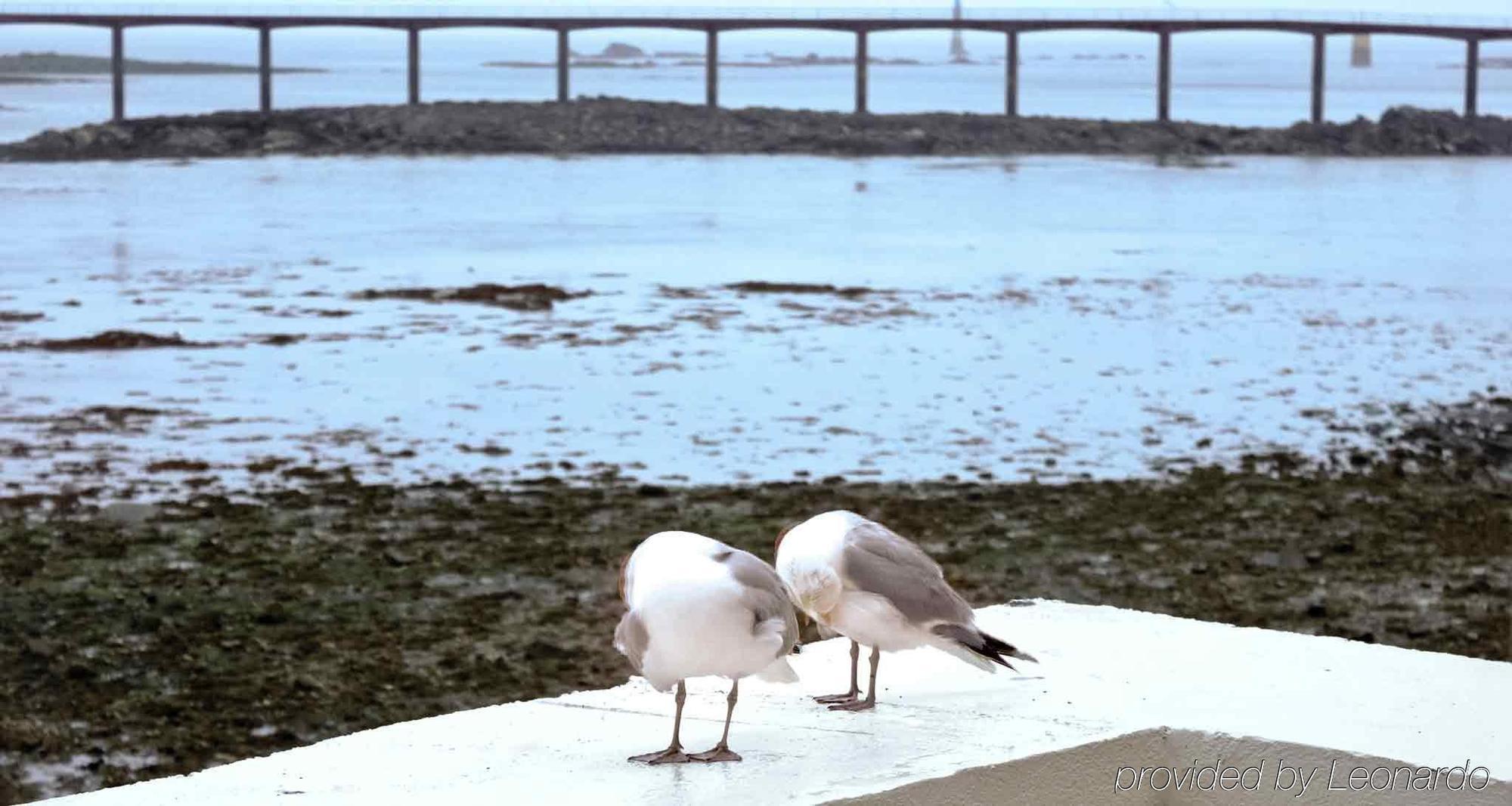 Ibis Roscoff Hotel Eksteriør billede